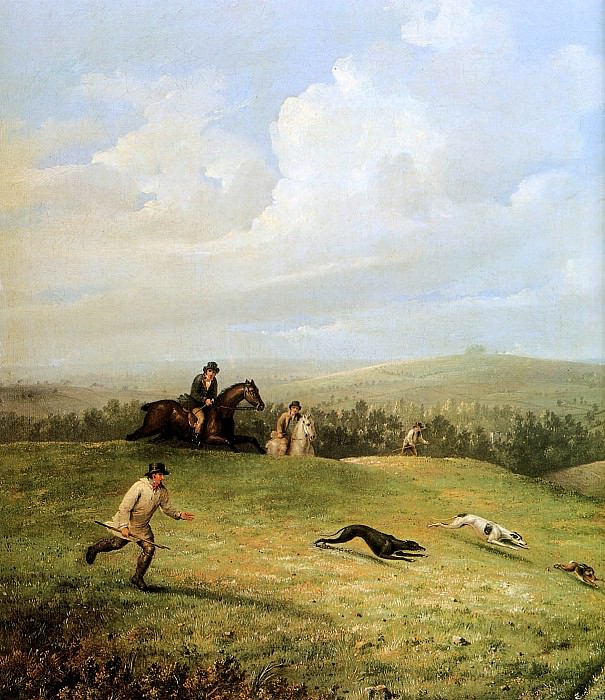 Hunt with dogs on Mayhill. Buckeye Blake
