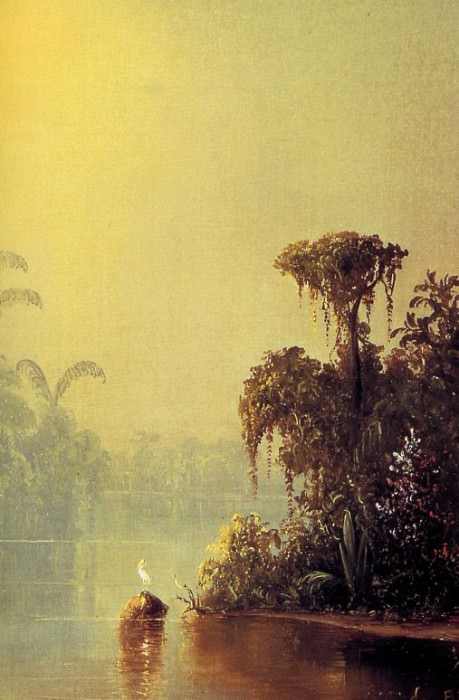 Тропический туман (правая часть). Нортон Буш