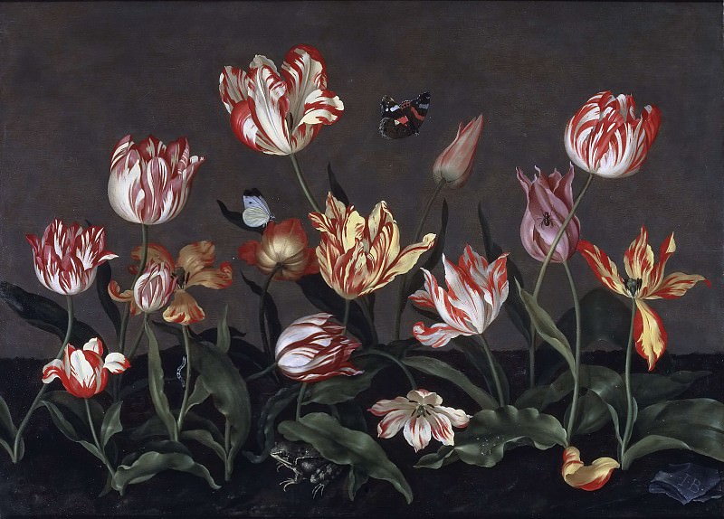 Still Life with Tulips. Jan Bosschaert