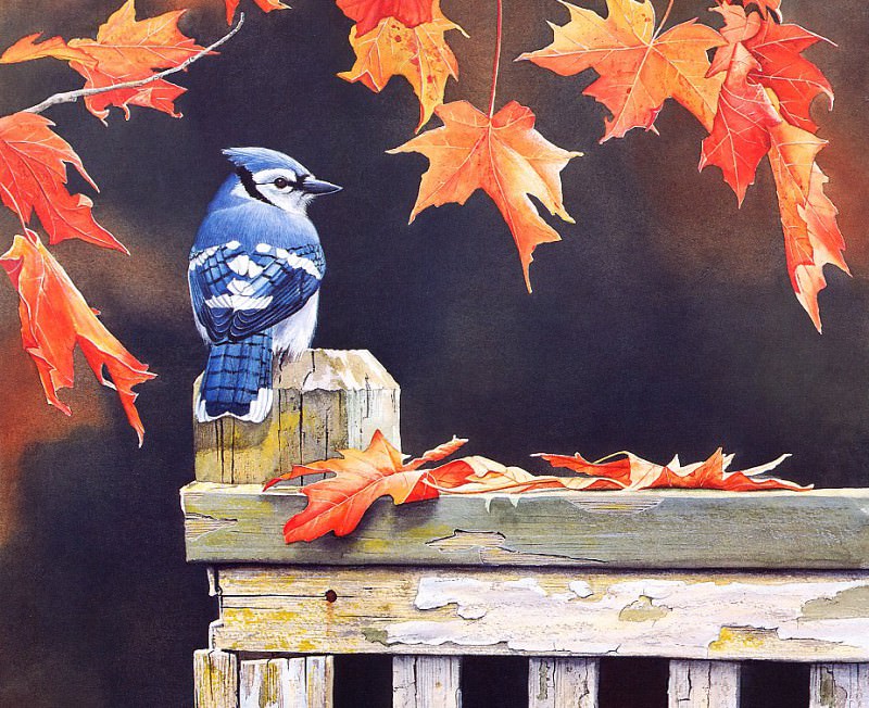 Autumn Splendor. Susan Bourdet
