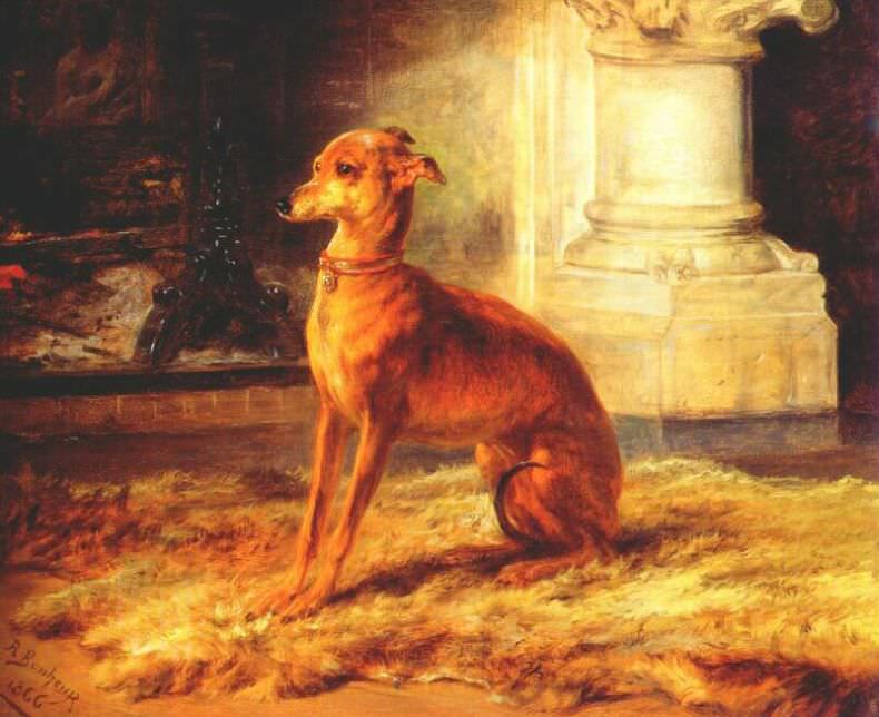 italian greyhound 1866. Rosa-Marie Bonheur