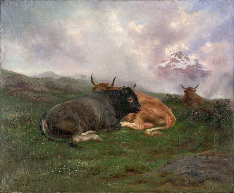 Крупный рогатый скот отдыхает на склоне холма в Альпах. Роза-Мария Бонёр