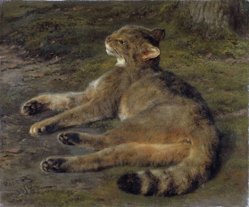 Wild Cat. Rosa-Marie Bonheur