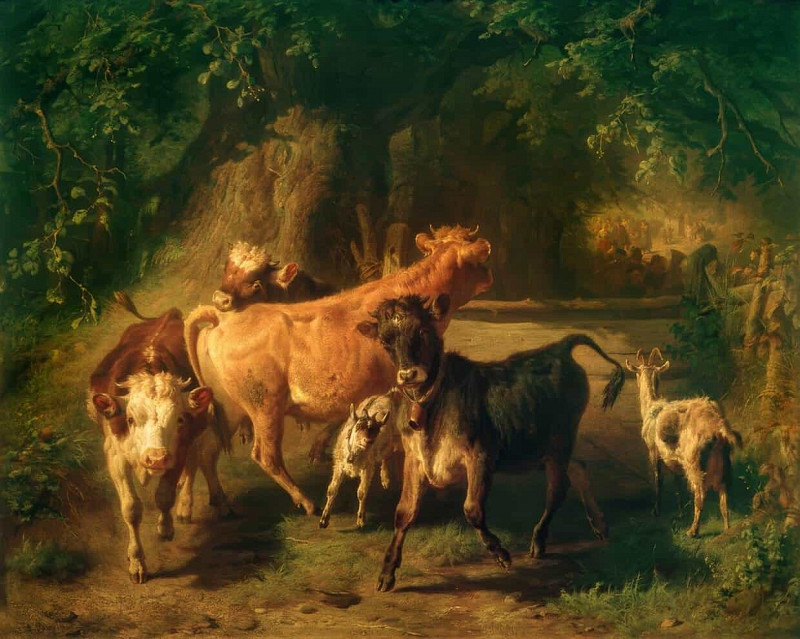 Young Cattle and Goats. Anton Braith