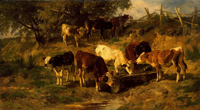 Jungvieh. Anton Braith