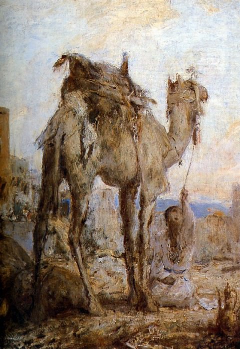 The camel. Marius Bauer
