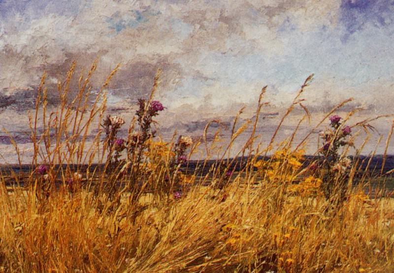 Thistles and Grass. Brian Bennett