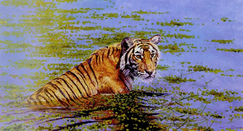 Река на рассвете - Тигр. Дарбиндер Сингх Бамра