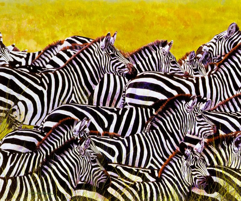 Lost In A Crowd Zebra. Dharbinder Singh Bamrah
