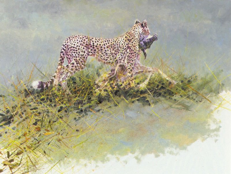 Life In The Serengeti Cheetah. Dharbinder Singh Bamrah