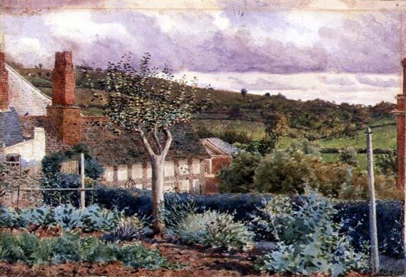 From the Garden of Sherford Cottage, Bromyard. George Price Boyce