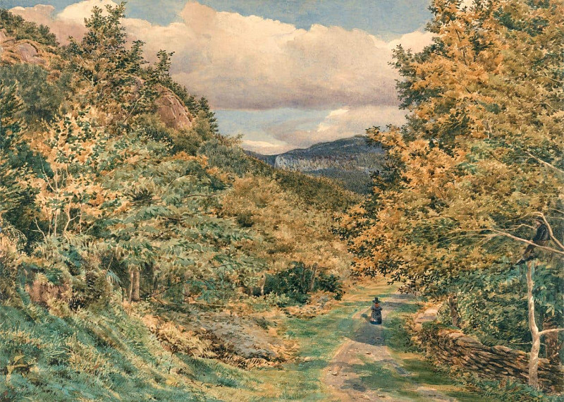 A Road Near Bettws-y-Coed. George Price Boyce