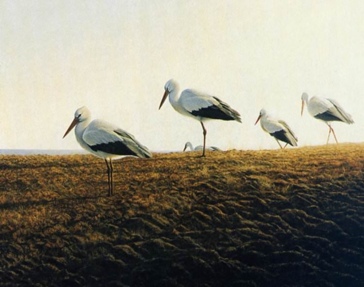 Chris Bacon - To the Sea-White Stork (detail). Chris Bacon