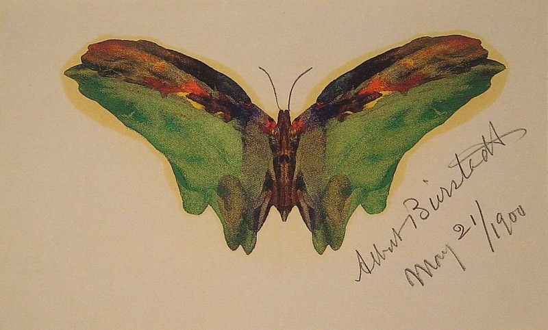 Butterfly. Albert REDIRECT: Bierstadt