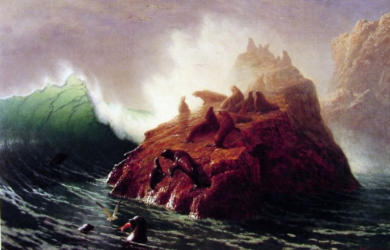 Seal Rock. Albert REDIRECT: Bierstadt