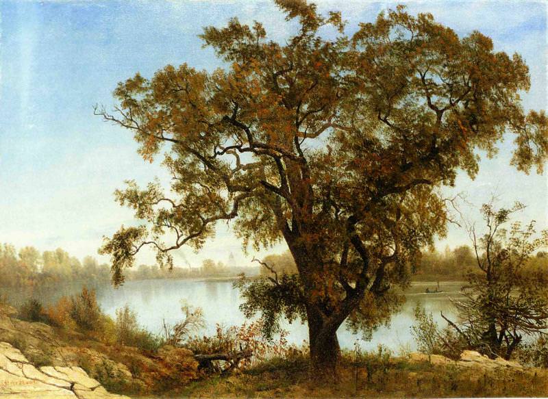 A View from Sacramento. Albert Bierstadt