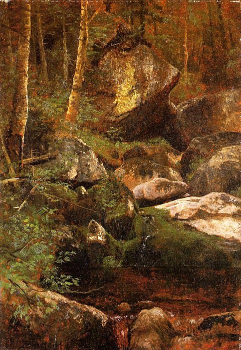 Forest Stream. Albert Bierstadt