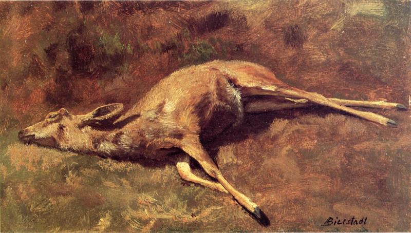 Native of the Woods. Albert REDIRECT: Bierstadt