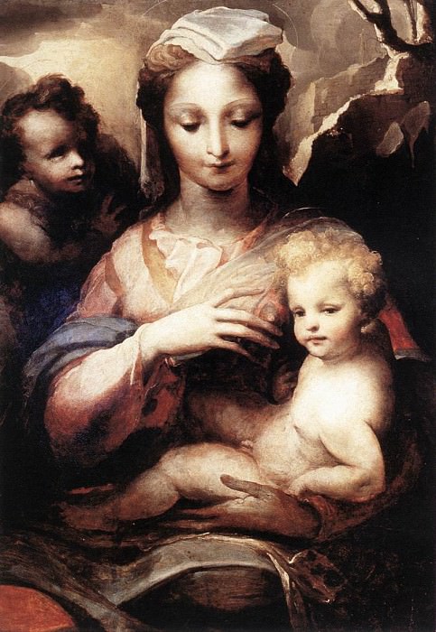 Madonna With The Infant Christ And St John The Baptist. Domenico Beccafumi