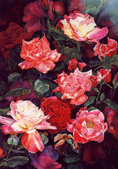 Color of Roses. Susan Black