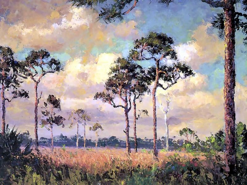 gentle breezes back country pines. Albert Ernest Backus
