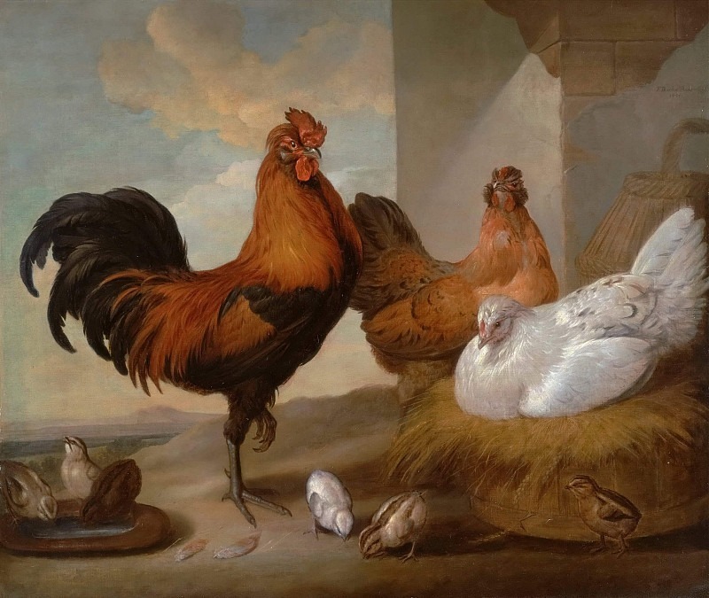 Domestic Cock, Hens, and Chicks. Francis Barlow