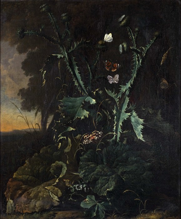 Still life with thistles and butterflies. Abraham Janz. Begeyn