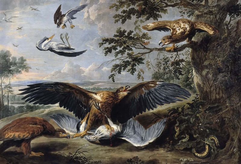 Fight between Eagles. Pieter Boel
