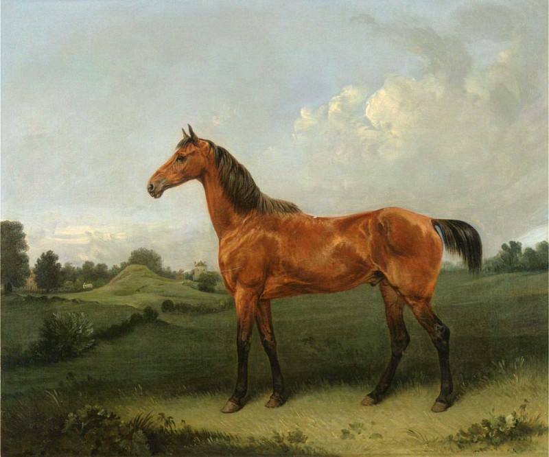 Лошадь в поле. Эдмунд Бристоу