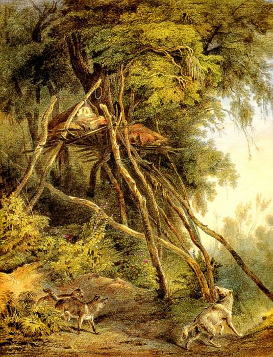 Захоронения на деревьях индейцев племени Ассинбойнов. Карл Бодмер
