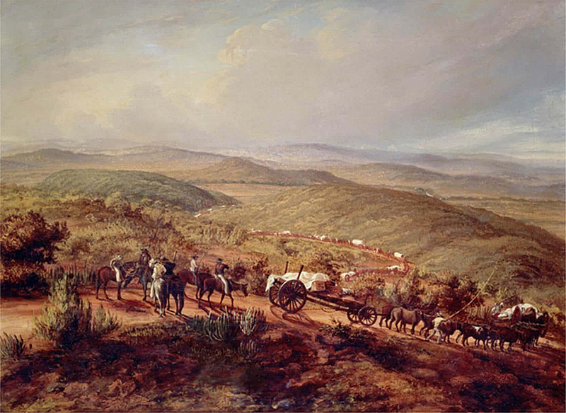 Near Sidbury, Cape Province. Thomas Baines