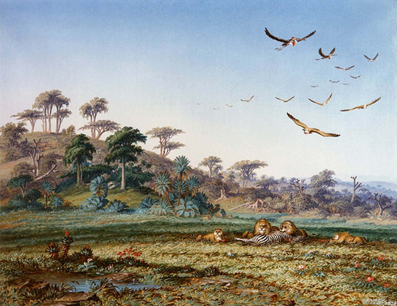 Lions and Dead Quagga. Thomas Baines