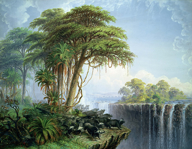 Buffalos Driven To The Edge Of The Chasm Opposite Garden Island Victoria Falls. Thomas Baines