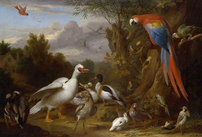 A Macaw, Ducks, Parrots and Other Birds in a Landscape. Jacob Bogdani