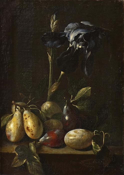 Still Life with an Iris and Plums [Attributed], Pietro Paolo Bonzi