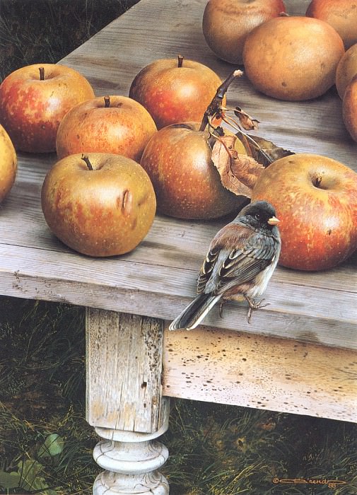 Apple Harvest. Carl Brenders