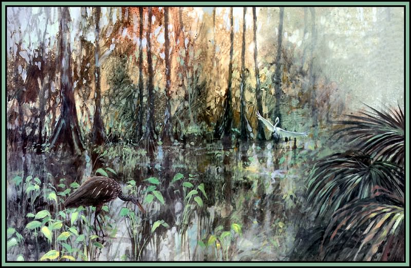Habitat Cyprus Swamps. Roger Bansemer
