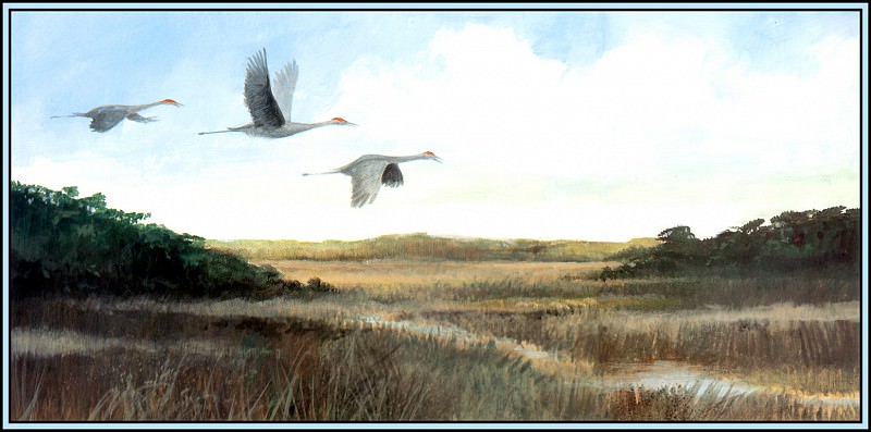 Habitat Prairies. Roger Bansemer
