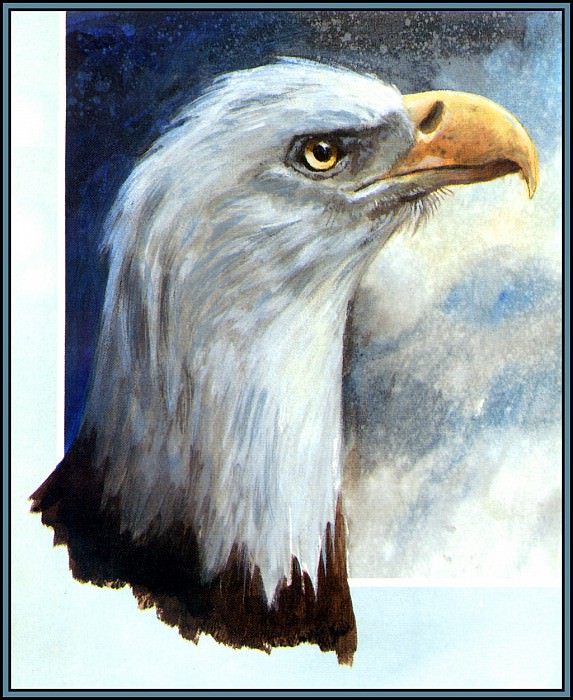 Eagle 2. Roger Bansemer