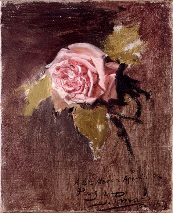Una rosa. Ignacio Pinazo Camarlench
