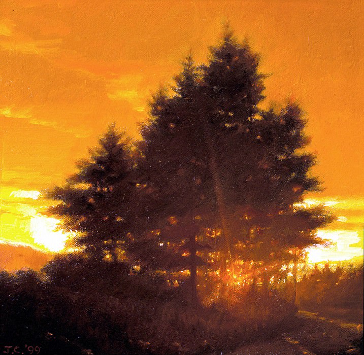 Sunset Tree. Jacob Collins