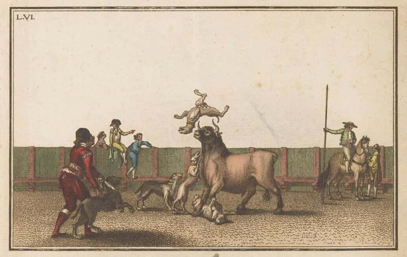 Bull Attacked by Dogs (Collection of the Main Maneuvers in a Bullfight). Antonio Carnicero