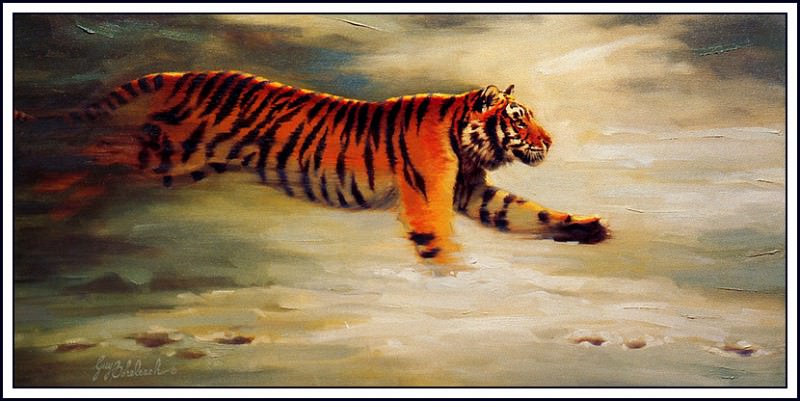 Сибирский тигр в погоне. Гай Коелич