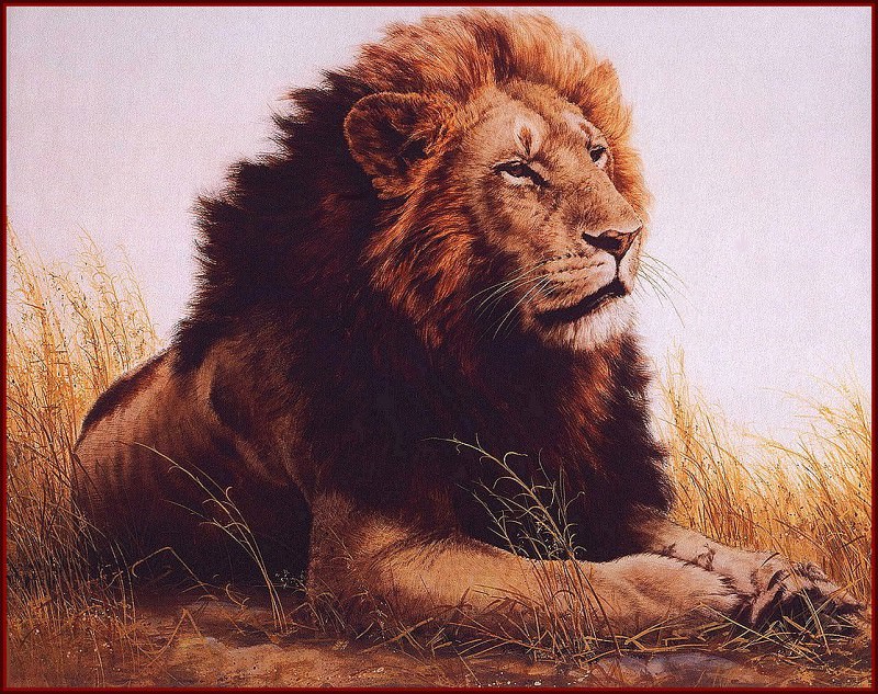Ngorongoro Lion. Guy Coheleach