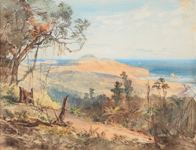 Sandfly Bay and Gull Rock near Dunedin. Nicholas Chevalier
