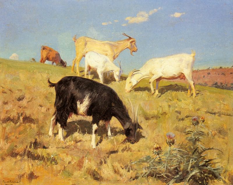 Goats Grazing On A Hillside. Benito Rebolledo Correa