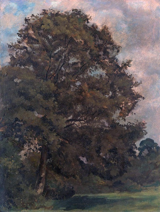 Study of an Ash Tree. Lionel Constable