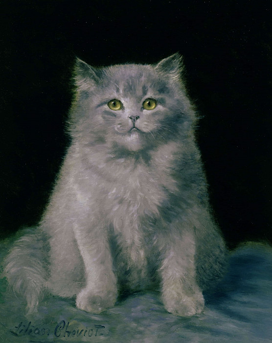 Этюд кошки. Лилиан Чевиот