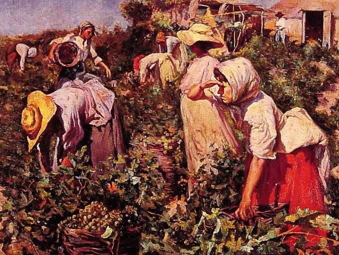 Picking grapes. Federico Godoy y Castro