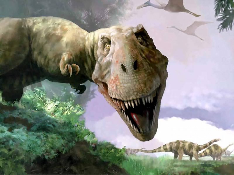 dinosaurs tyrannosaurus rex. Karen Carr